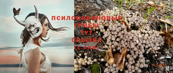 бутират Липки
