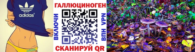 Купить  Ермолино  Псилоцибиновые грибы GOLDEN TEACHER 